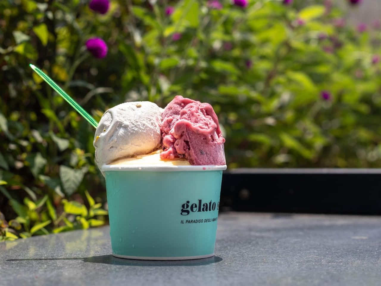 Gelato ice creme cup