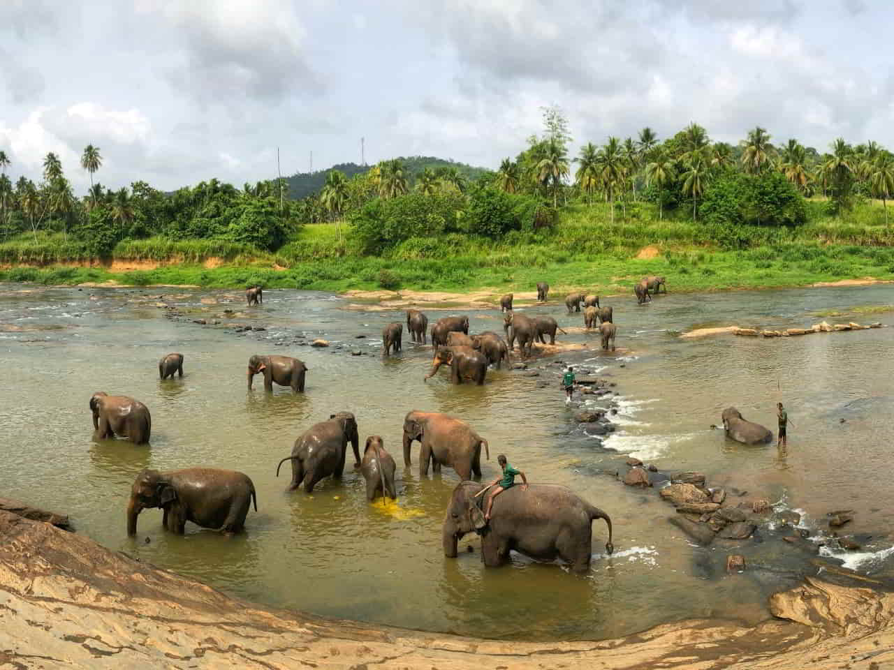 Elephant Bathing in Rambukkana Sri Lanka