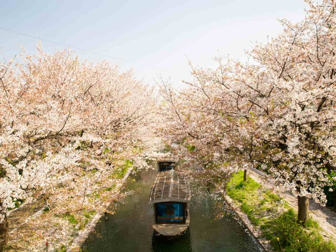 View of Fushimi Jikkokubune Boat Cruise in Kyoto, Japan