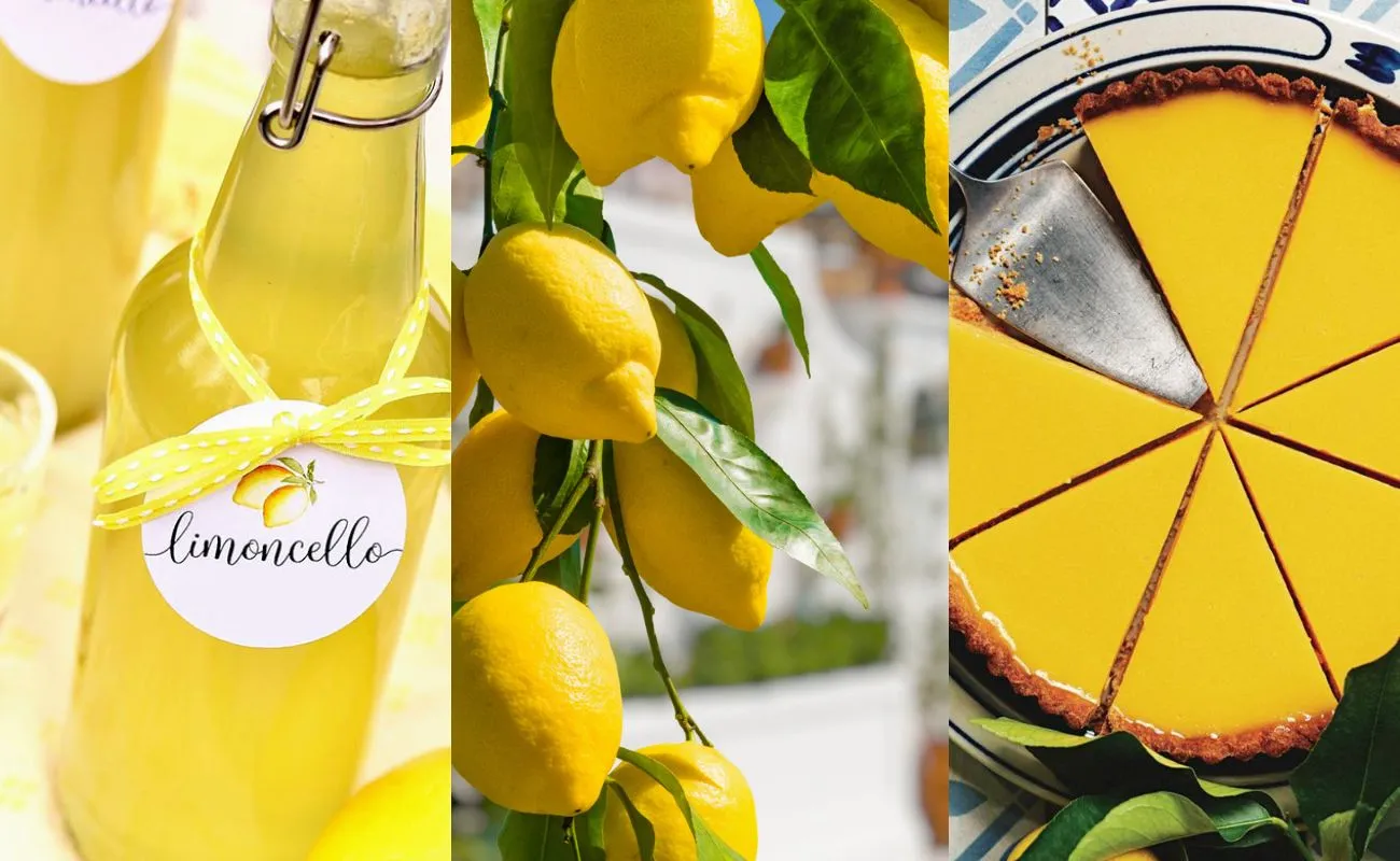 Things to do in Capri to visit Lemon Groves