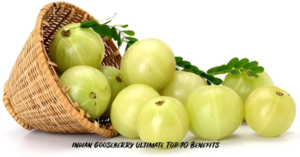 A cane basket having few pieces of Indian Gooseberry (Amla) with its leaves describing the Benefits of Indian Gooseberry (Amla)