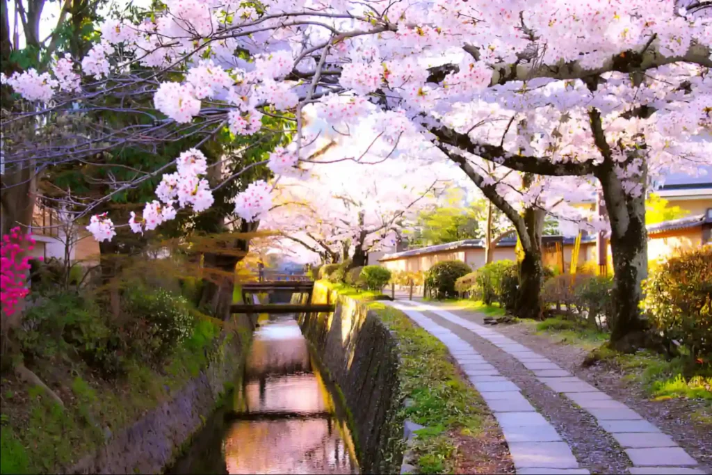 Stunning view of Autumn in Kyoto, Japan one of the most romantic places in the world for couples