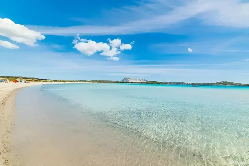 Clear water under a blue sky in Cala Brandinchi Beach, one of the Best Beaches in Sardinia