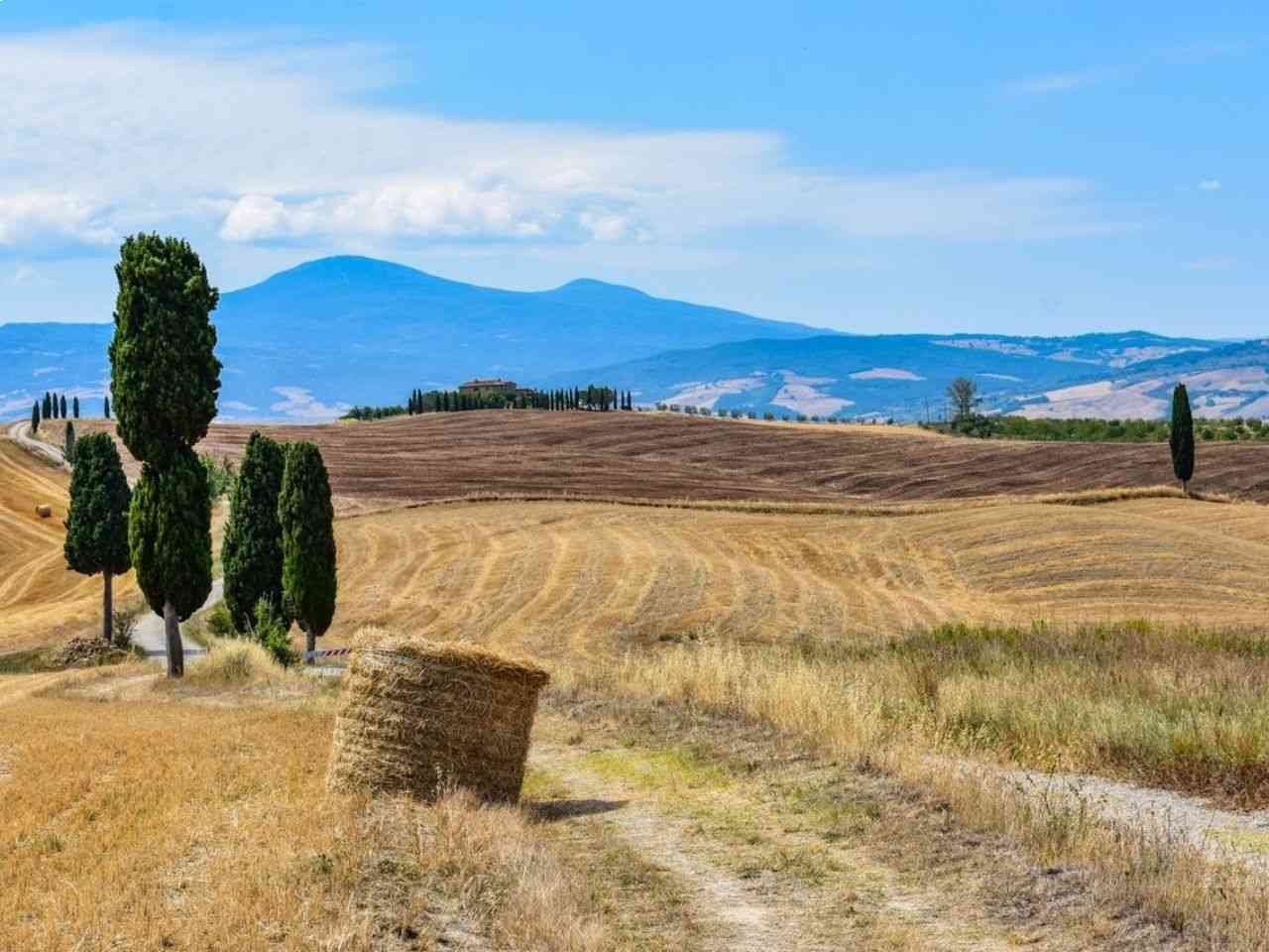 beautiful Autumn vibe in Italy's Tuscany landscape