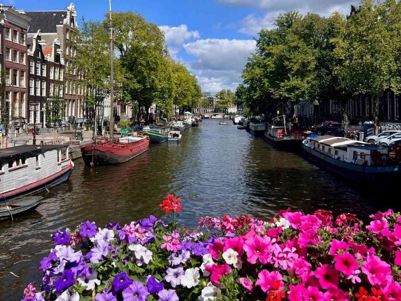 Spring canal-side street in Amsterdam, the best time to visit Europe